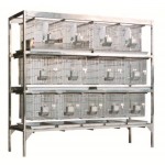 RB44-30 30 ұяшықты сөре қоян торлары