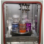 Кептіру пешімен жабынға батырыңыз