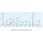 Газ хроматографиясы-масс-спектрометр (GC-MS) GC-MS 6800